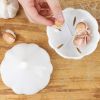 1pc White Garlic Plastic Storage Box; Fruit And Vegetable Shaped Food Saver Storage Container; 350ml/12.3oz